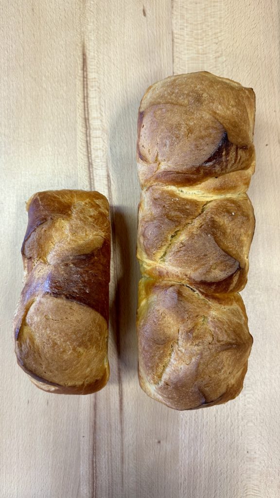 Brioche